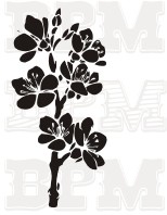 /album/kvety-stromy/kvety-38-jpg/